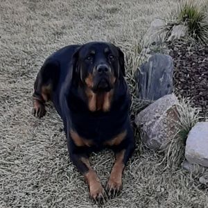 Meet your Posher, Sherry